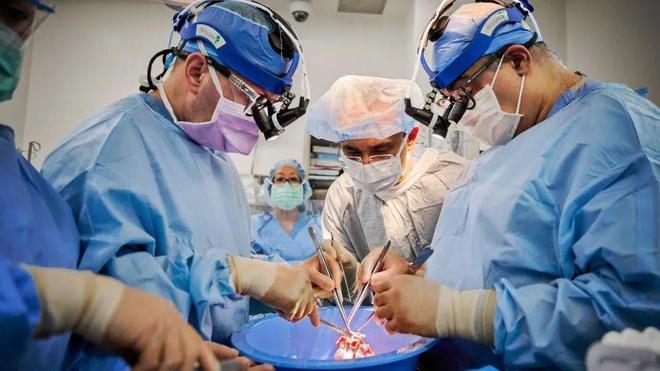 纽约大学成功完成2例手术！人移植猪心脏手术距成功又近一步！！￼