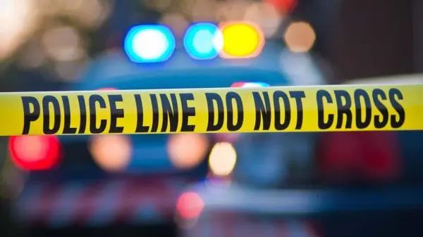 佛罗里达州警方称，一名司机在I-95公路的桥中间停车，造成三名儿童死亡￼